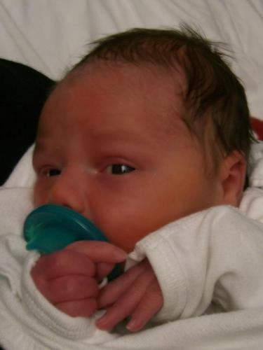 Just a few hours old